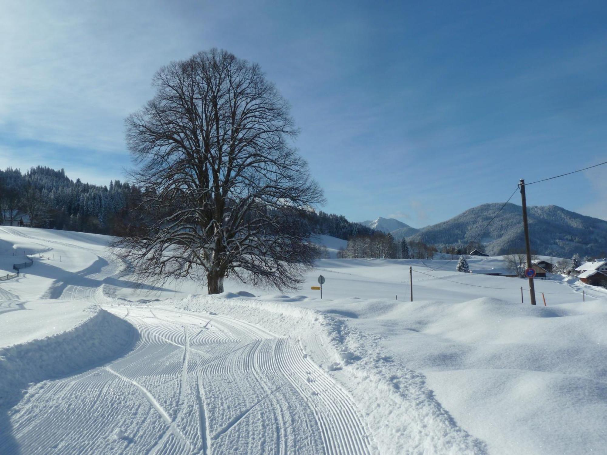 Ferienwohnung Panorama Bad Kohlgrub Luaran gambar
